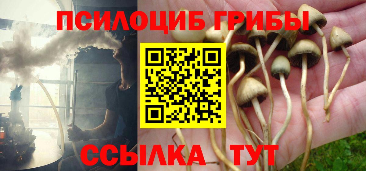 Галлюциногенные грибы Magic Shrooms  Вход с VPN  Тольятти 